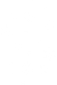 White snowflake PNG image-7592